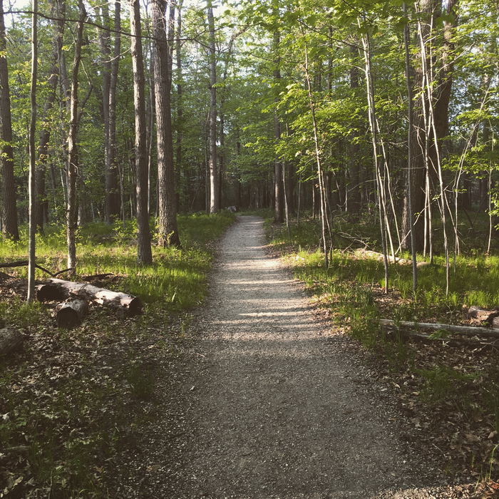 Kensington Metropark - 2016 Photo